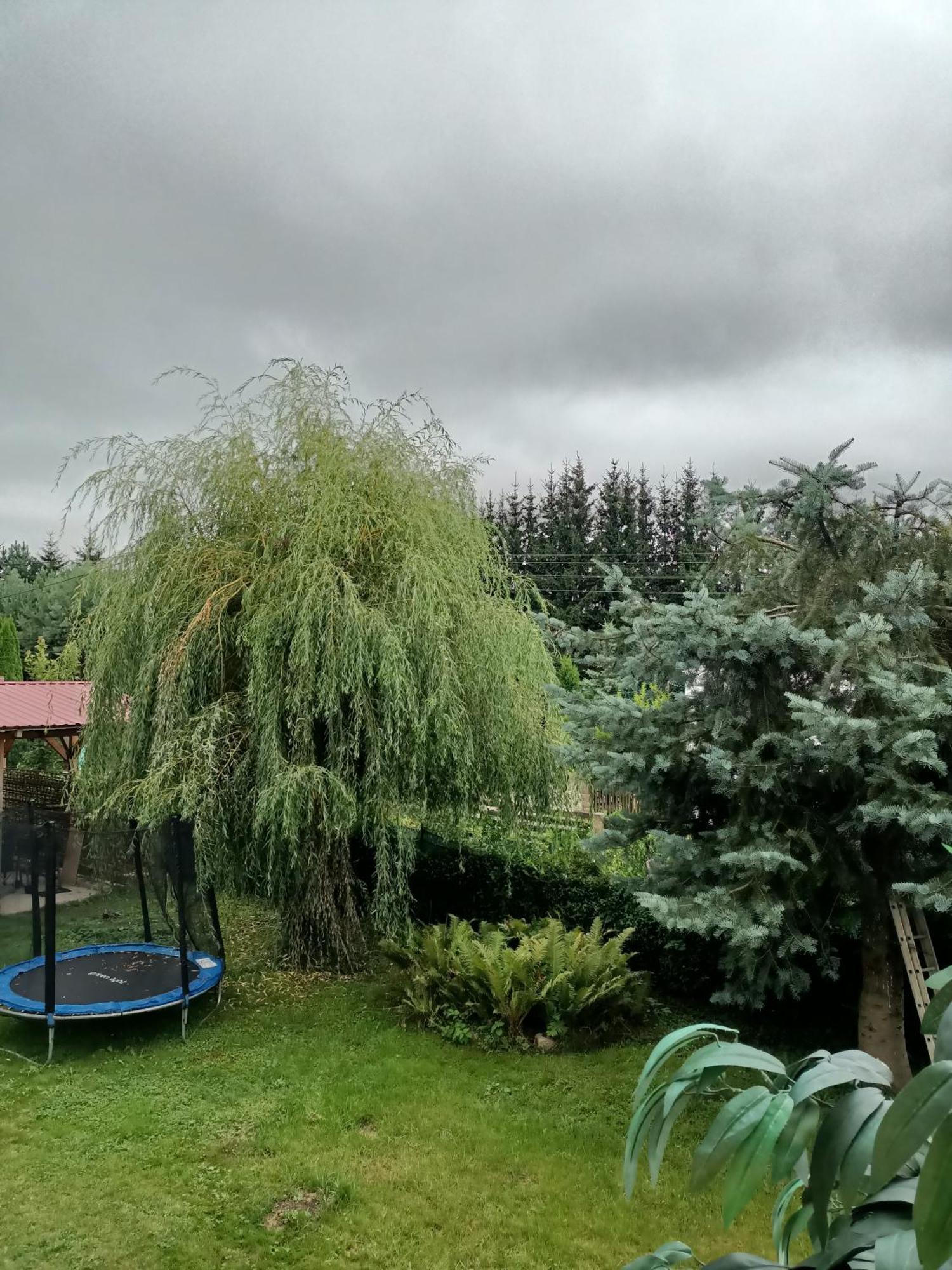 U Zbyszka Apartment Kamienna Gora Cameră foto